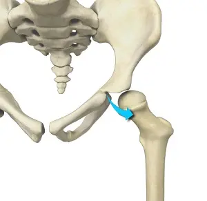 Hip Disorders Treatment - Dr. Tauhid Momen